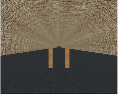 Image representing tunnel-like virtual environment